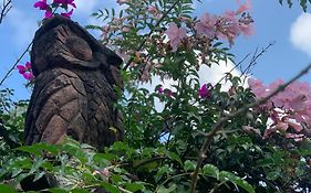 Posada Del Tepozteco - Hotel & Gallery